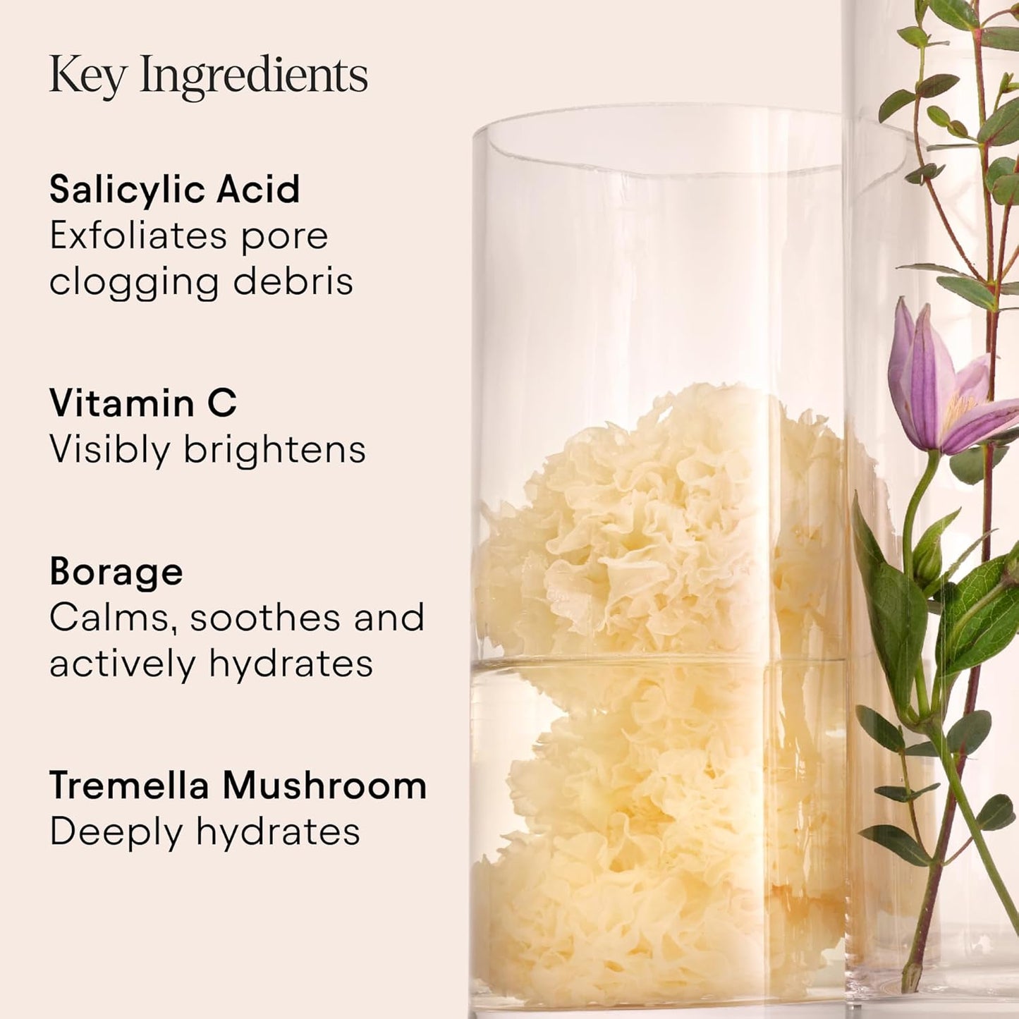 Alpyn Pore Perfecting Liquid Toner with 2% BHA & Borage | Liquid Exfoliator to Minimize Pores, Calm & Restore Skin's Natural pH | 4 oz / 120 ml