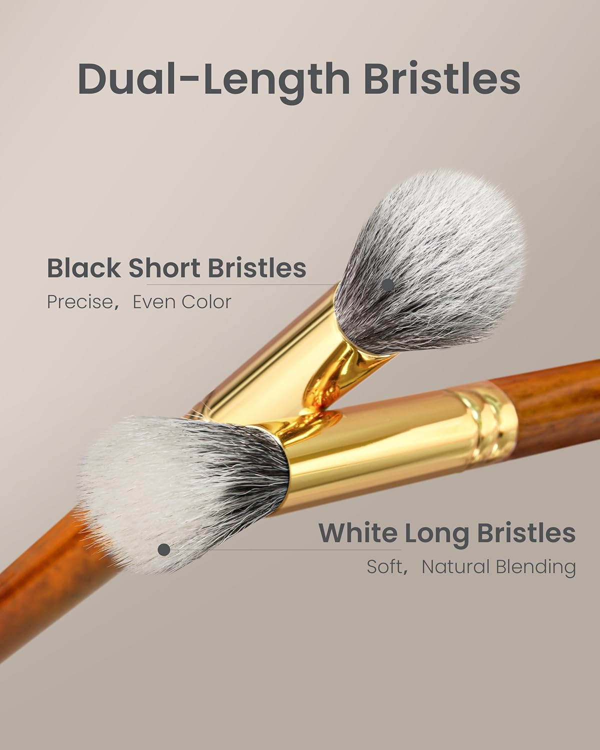 Desert Oak Series Dual Wool Highlighter Brush - Round Dome Goat Hair for Targeted Glow, Powder/Cream Highlight, Bubinga Handle (CM 189)