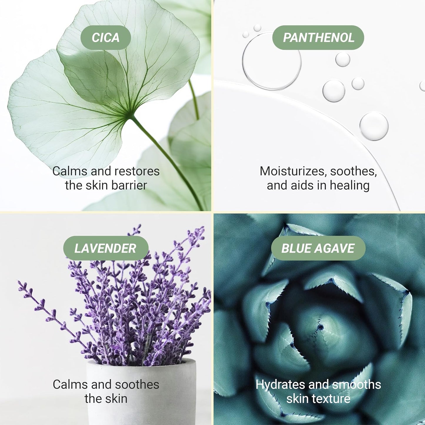 Meebak Cica Cleansing Water Pads | Korean Makeup Remover Wipes | Micellar Water Makeup Remover Wipes | Exfoliating Toner Pads for Glass Skin | Hydrating & Calming for Sensitive Skin - 80ct